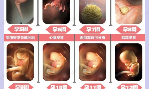 怀孕闻了烟味就一定会畸形吗-孕妇闻了很多烟味得了咽喉炎网 - 网站提供孕妇闻过烟味怎么补救小常识、怀孕闻了烟味就一定会畸形吗